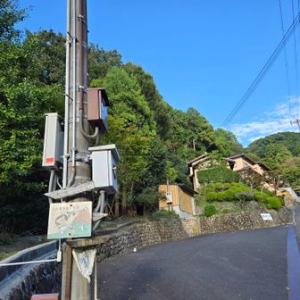 ここへ降りて舗装路に合流