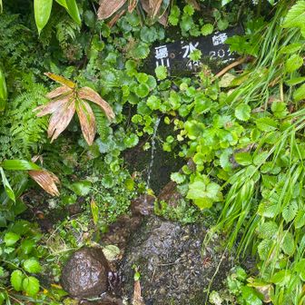 お清水頂きました
持参した水分2ℓ
600mℓで足りてしまった