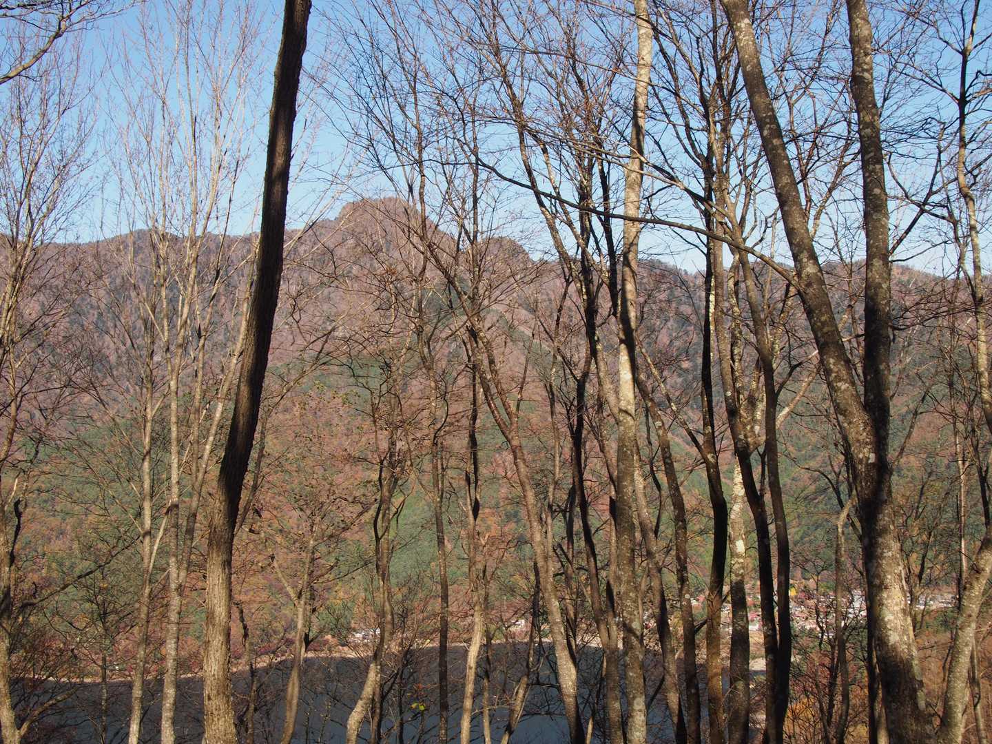 左に十二ケ岳を見ながら歩けます