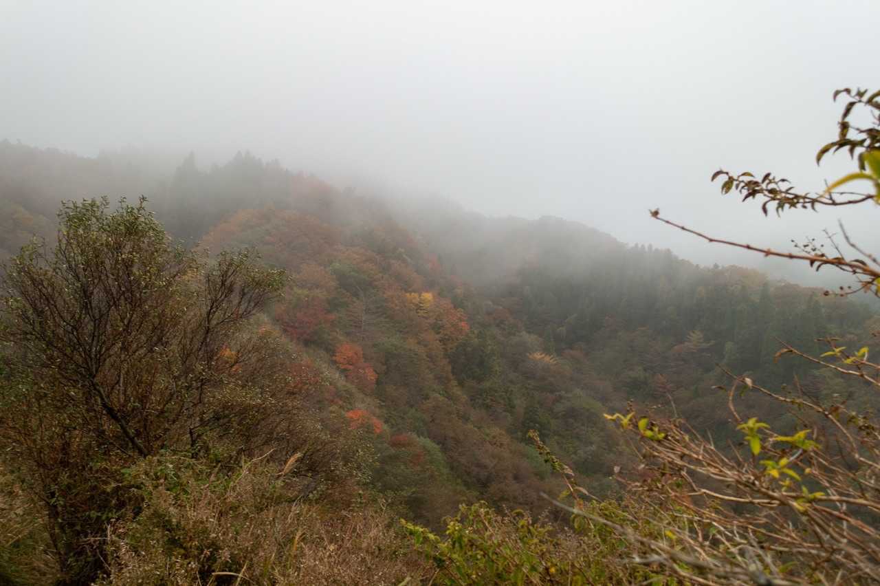 紅葉しているのだろうけどガスで見えません。