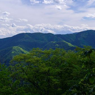 富士山見えた