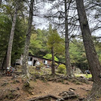 富士見平小屋まで降りてきました