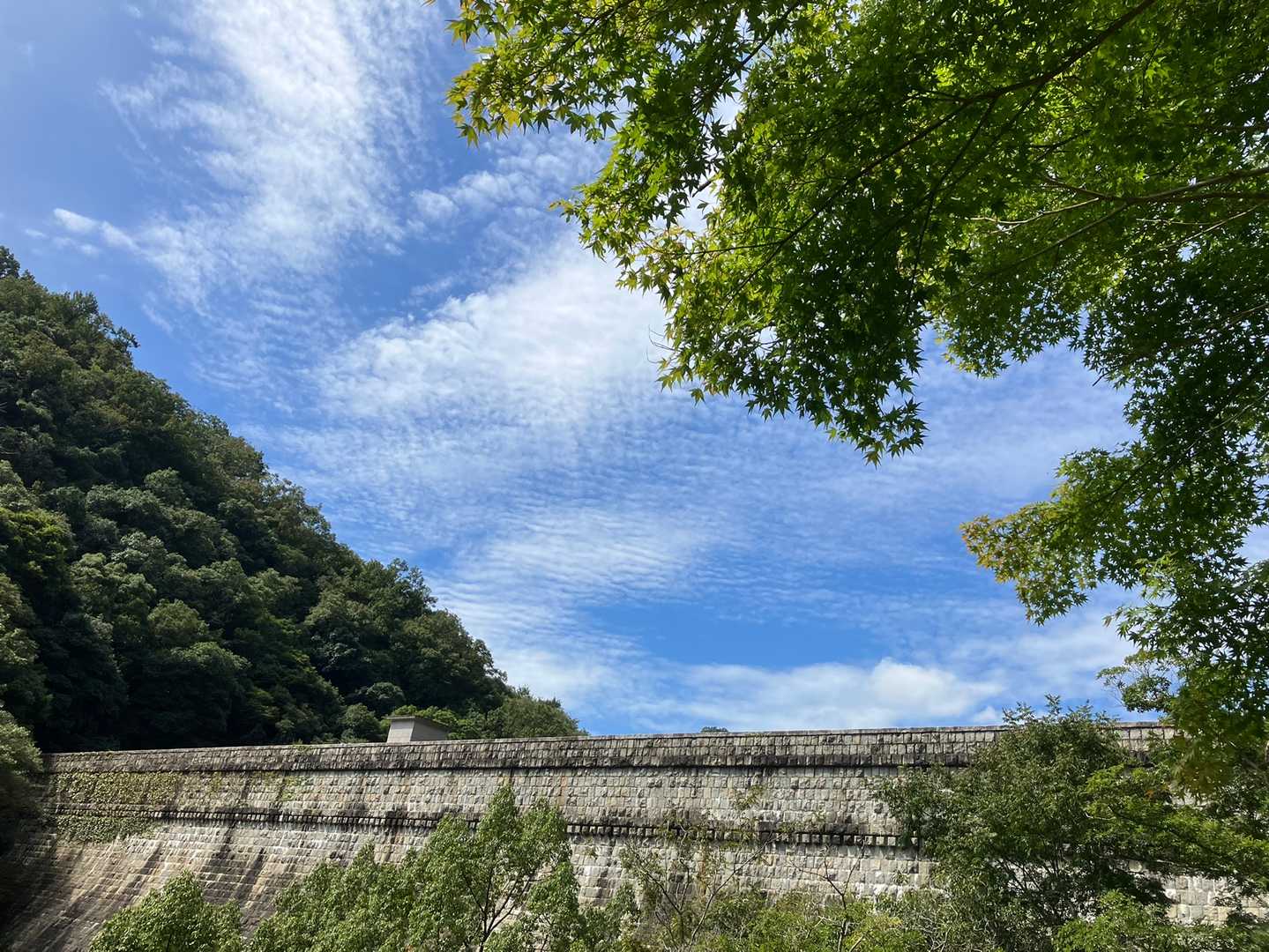 新神戸駅-滝山城跡登山口-摩耶山青谷道登山口 縦走コースの写真