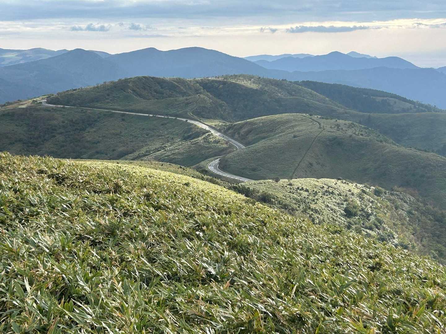 戸田峠-小達磨山-達磨山 往復コースの写真