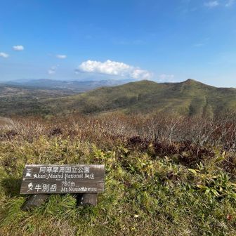又牛別だと思ってたけど、ヌ牛別らしい🙂
