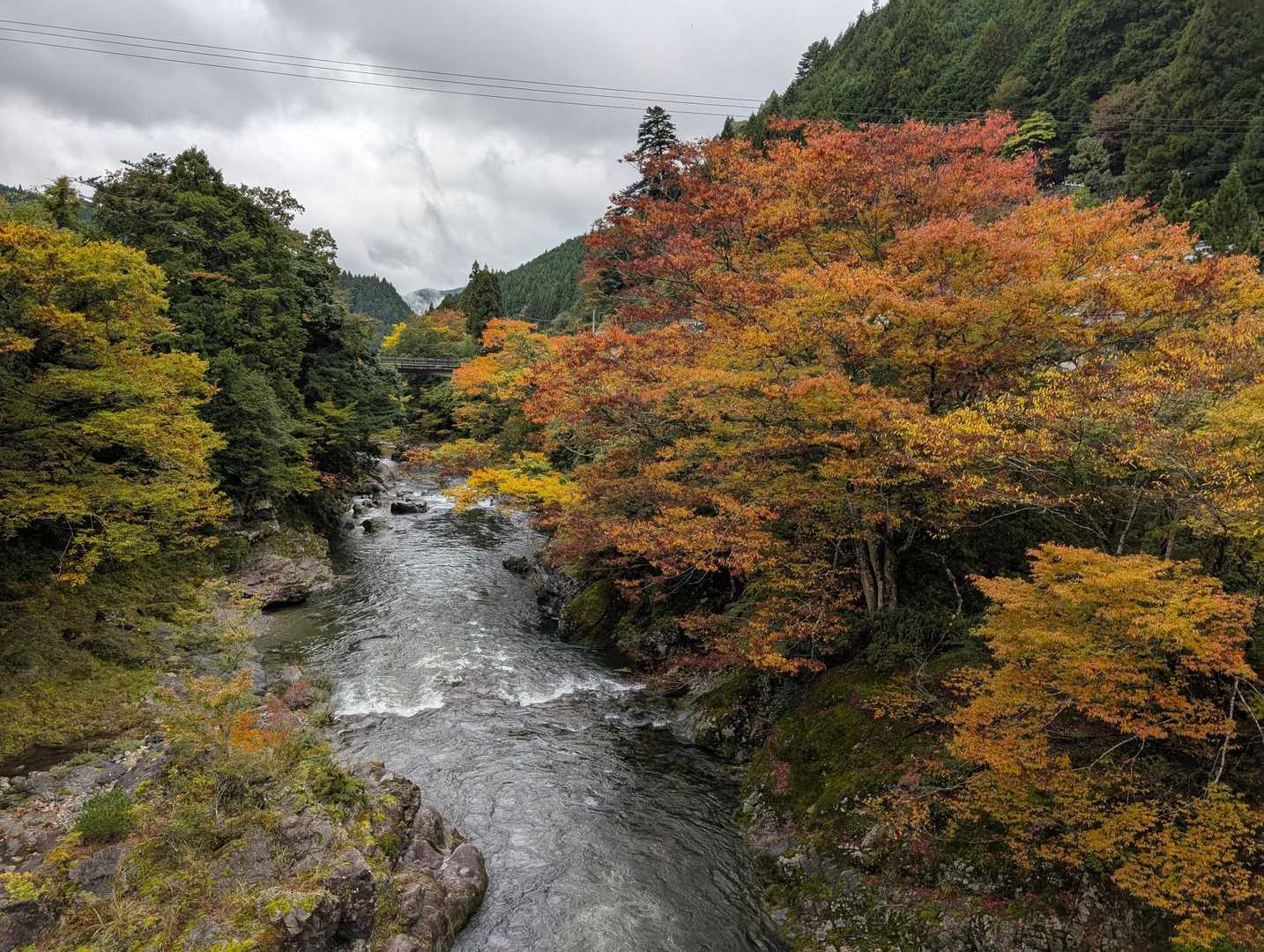 スタートの吊り橋より。紅葉がいい感じ🤩