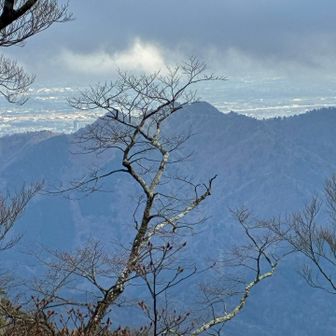 大山三峰見えた