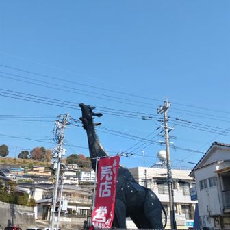 キリンが2頭
油木の総合体育館。