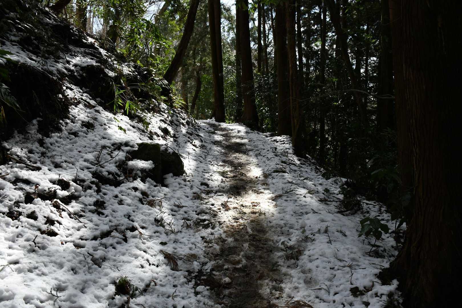 ちょっとだけ雪ありました〜