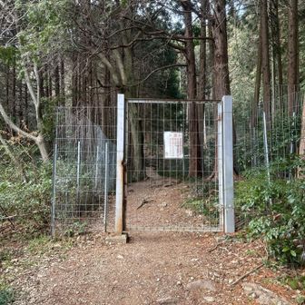 さて頑張ってみる　