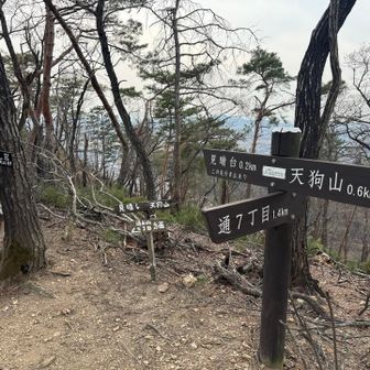 見晴台には寄らずに通７丁目へ😊