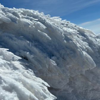 エビの尻尾がたくさんありました🥰