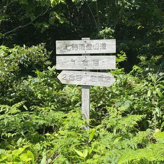 駐車場から２合目