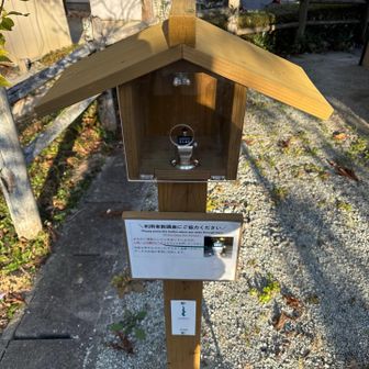 カウンターが１００を超えている、初めてみました