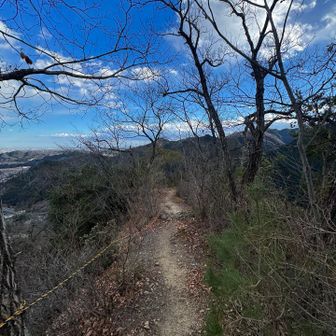 お腹も満たされ（いや、足りないけど）

下山します

ん？この痩せ尾根…

一昨日の房総の郡界尾根を思い出しました