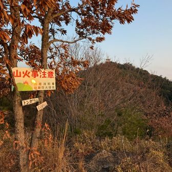 白毛山の電波塔が見えます