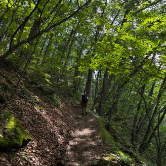 登山口まであと少しのところでそういえば🚙パンクしていたらどうしようと不安がよぎる😅