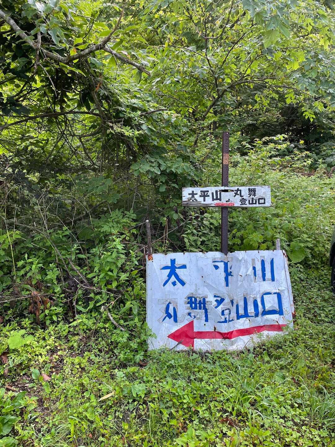 車、数台あって一安心。
先行者いました🎶