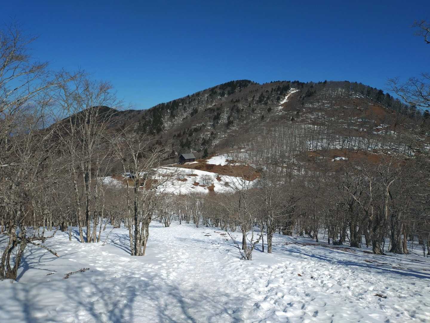 明神平-明神岳 往復コースの写真