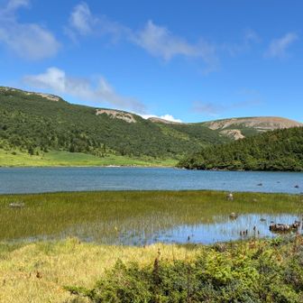 一切経山を背景に
ミヤマホタルイがいい感じ🌱