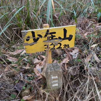 ⛰️少年山　322m
きょう最終ピーク。