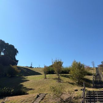 龍崖山公園　広くてきれいに整備されている公園
🚻もあります