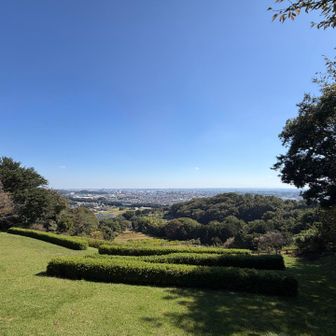 展望台〜