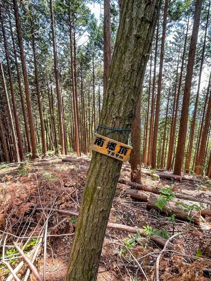 南郷山の写真