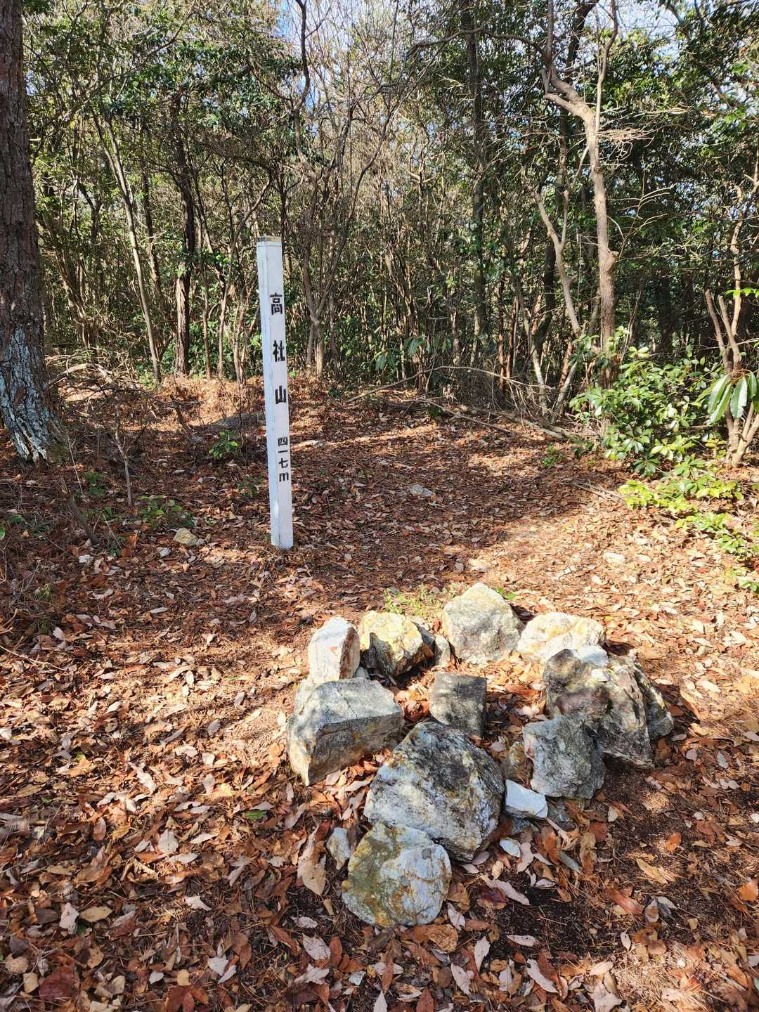 山頂に到着です‼️