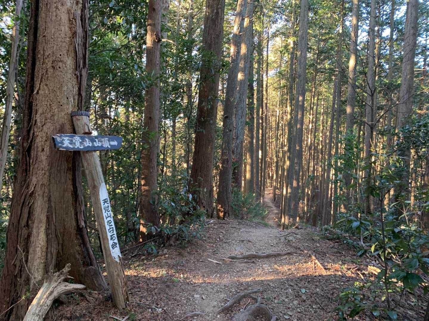 東吾野駅-天覚山-東峠-久須美ケルン-竈門山登山口-多峯主 縦走コースの写真
