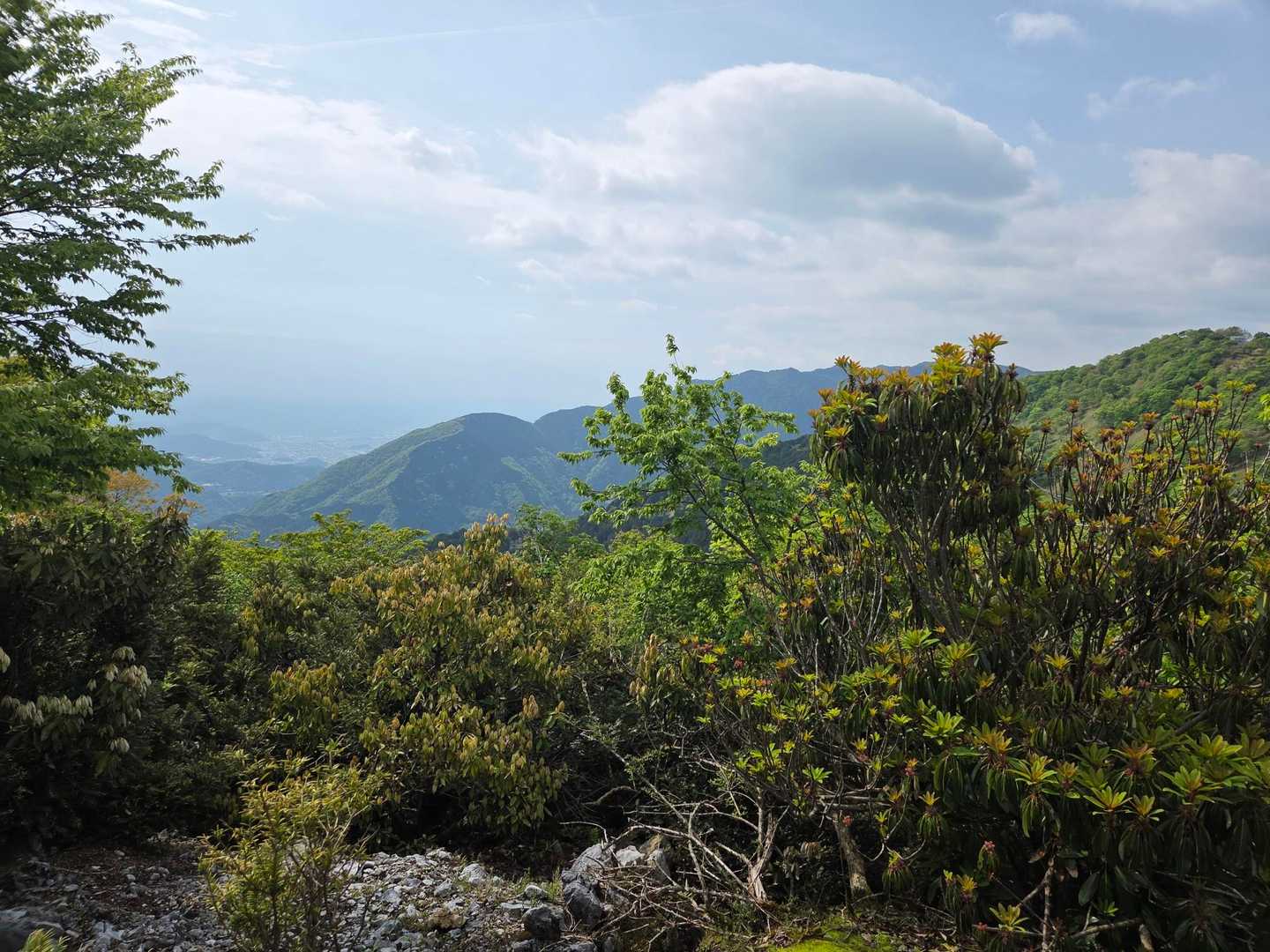 山頂付近からの景色