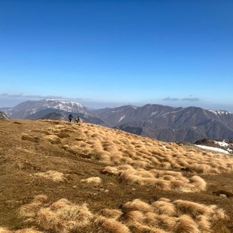 サイコーなんです🥰