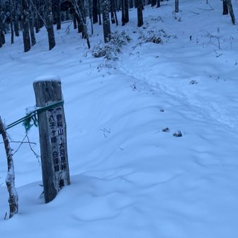 ここから行きます
まずはツボ足