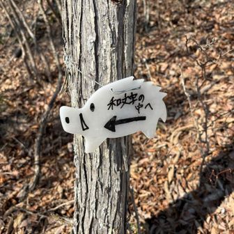 和文字焼きというイベントがあるようだ
