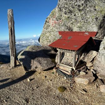 南駒ヶ岳山頂にある祠。裏に雷鳥らしき鳥が走り回ってました。