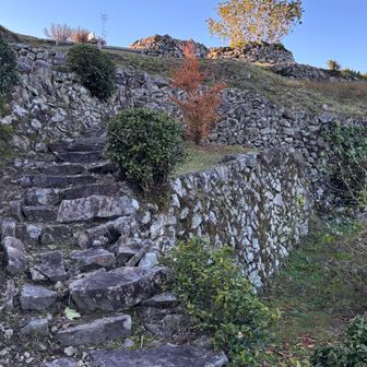 マチュピチュのようです