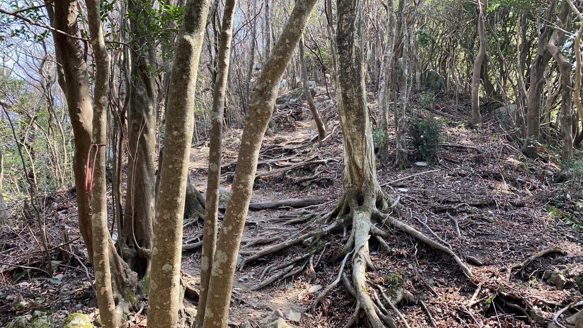 真名子登山口-二丈岳 周回コースの写真