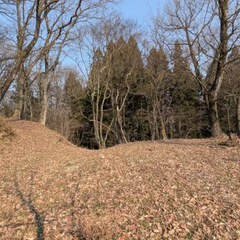 大正園案内板から登り切ると　土塁と空堀の痕跡かな？　左方向へ