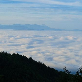 途中、分岐を右へ。表コースの樹林帯を進む。
暫くし突然目の前が開けたと思ったら、まさかの富士山とご対面🗻
MAPを見るとココは車坂山の様だが、山頂標等は見付けられず。