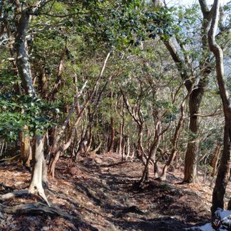避難小屋を越えると、ほとんど雪がなくなってきます。