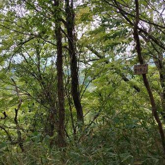 堂徳山
後ろはお菊さんとお鍋さん