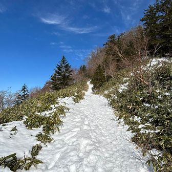 ❄️ザクザク🦵サイコー😆