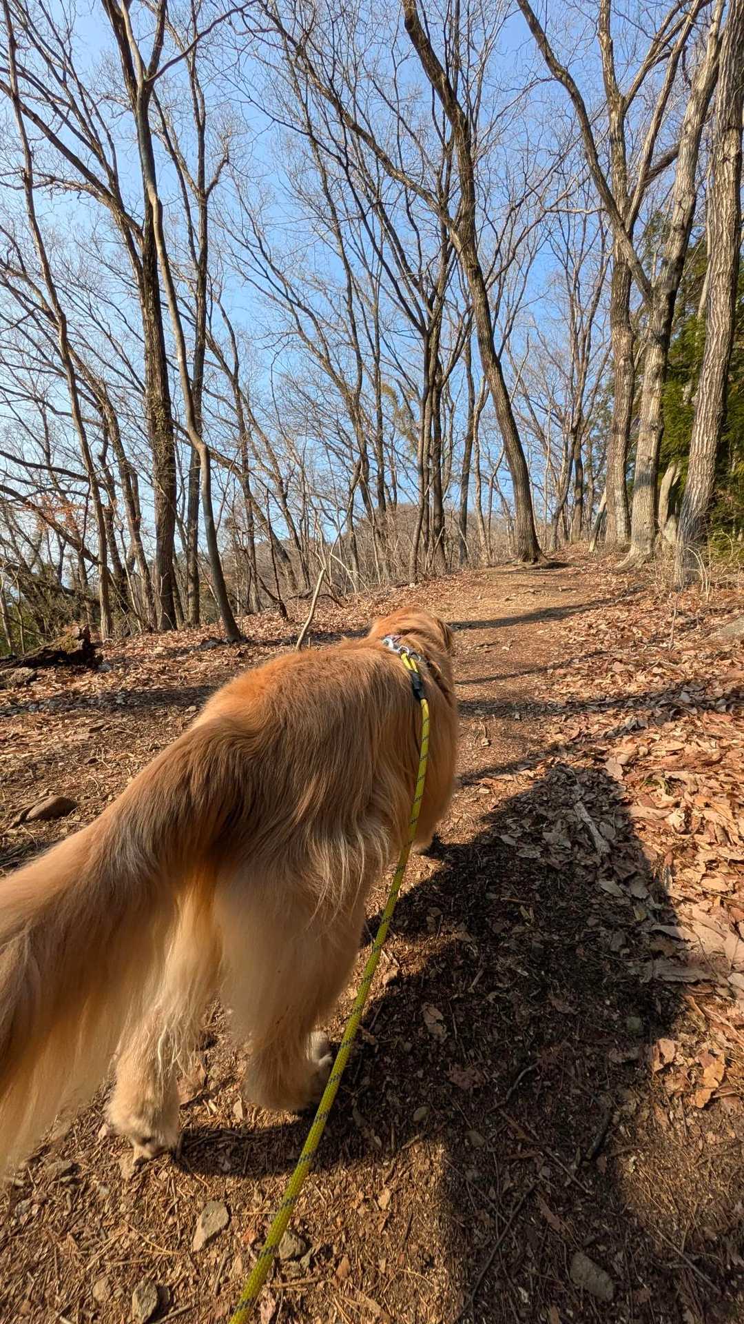 破風山 往復コースの写真