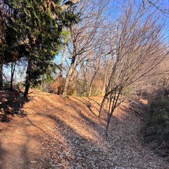 前に計画した時は榁ノ木峠から南生駒駅に下りるつもりでしたが、まだこの先のピークも取りにいくよ〜😆