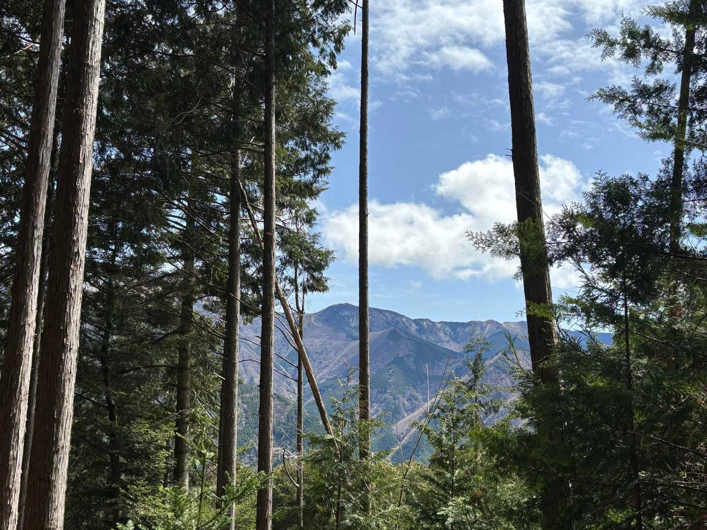 十枚山方面の稜線⛰️✨