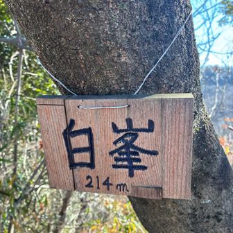 15　白峯　この辺になると、🎾の跡が無い…