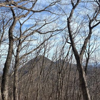 落葉したからこそ見渡せる。
左が西御荷鉾山、右が東御荷鉾山。
