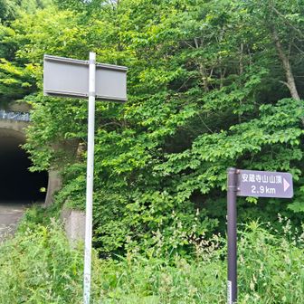 登山口はすぐ横にある👉️
熊鈴🔔装備してスタート！