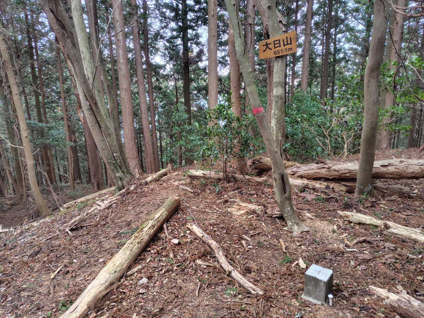 大日山に到着＼(^o^)／
眺望はなしです😊