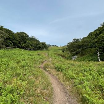 ずっと歩いていたい
